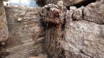 Hausschwamm: Vom Schwellenholz ist nicht mehr viel übrig